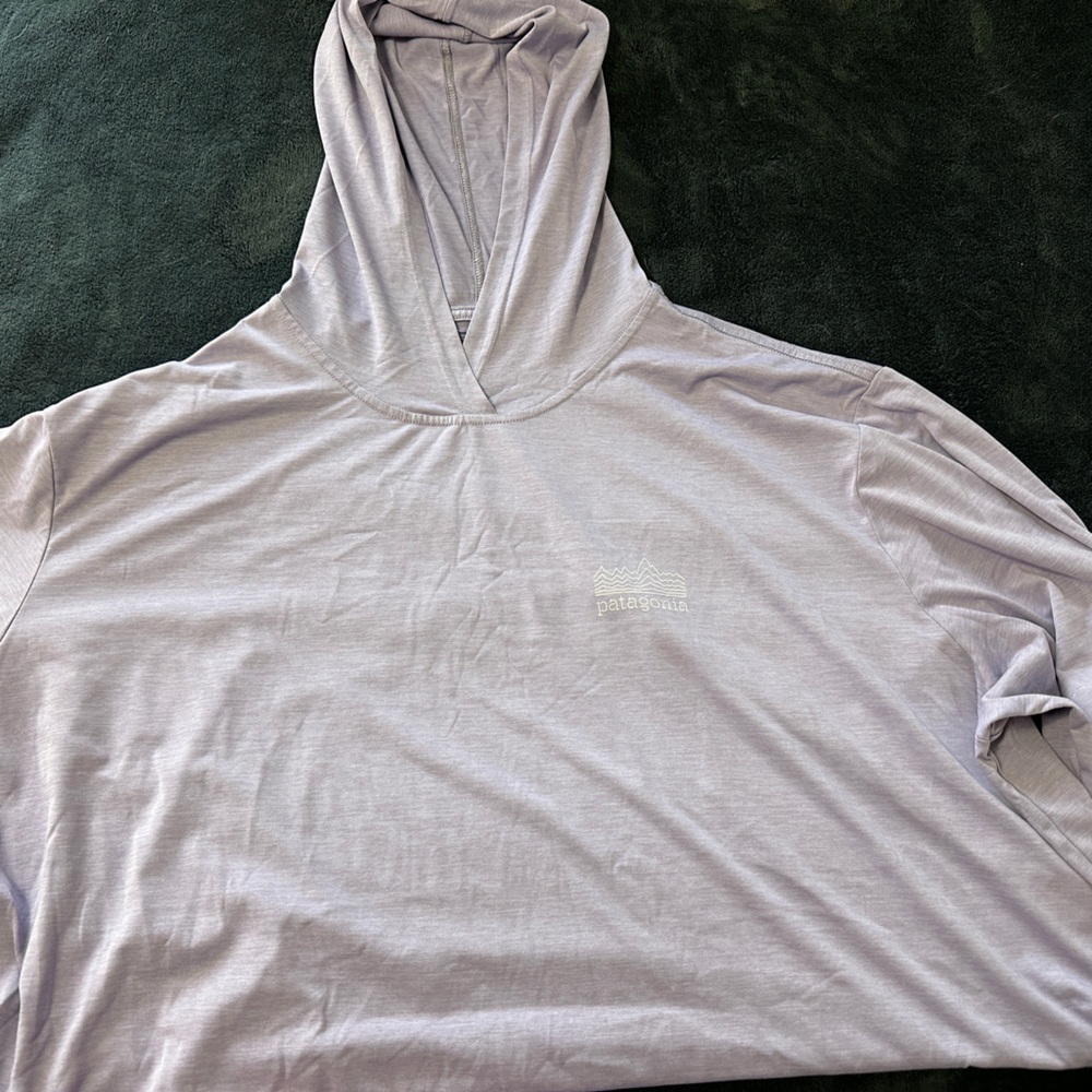 Capilene Cool Daily Graphic Hoody - Men's